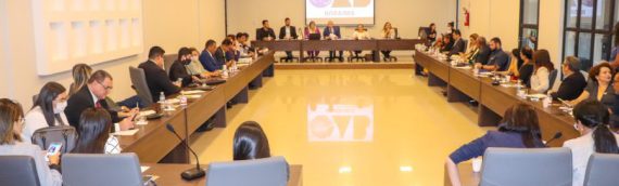 II Colégio de Presidentes debate ações a serem desenvolvidas pelo Conselho Seccional